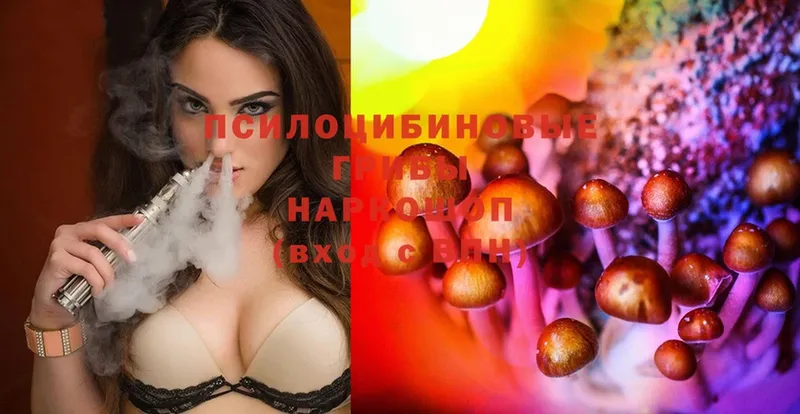 Галлюциногенные грибы Cubensis  Копейск 